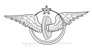 T.C.D.D. en eski logo